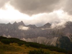 2013-09-08_6Falkenh-Steinfalk (099).JPG